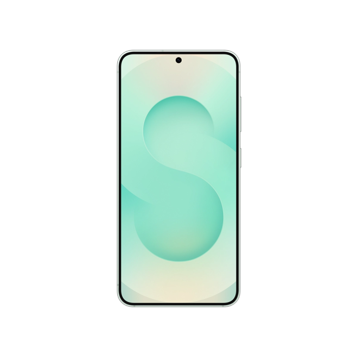 Фото Смартфон Samsung Galaxy S25+ 12 ГБ | 256 ГБ Мятный